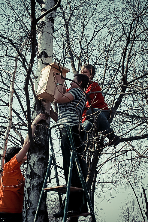 nesting-box-24.jpg nesting-box-24.jpg