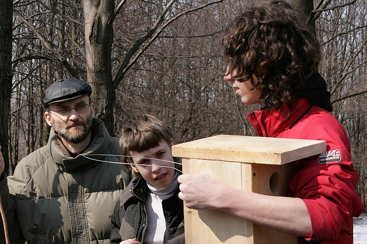 nesting-box-17.jpg nesting-box-17.jpg