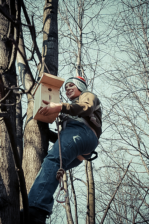 nesting-box-22.jpg nesting-box-22.jpg