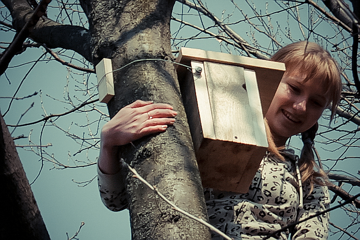 nesting-box-20.jpg nesting-box-20.jpg