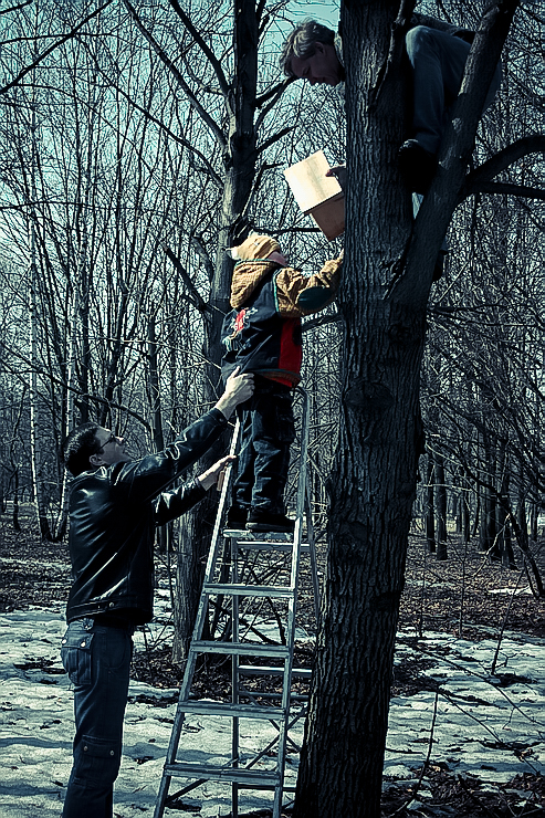 nesting-box-21.jpg nesting-box-21.jpg